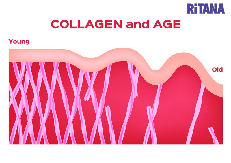 Thực phẩm bổ sung collagen