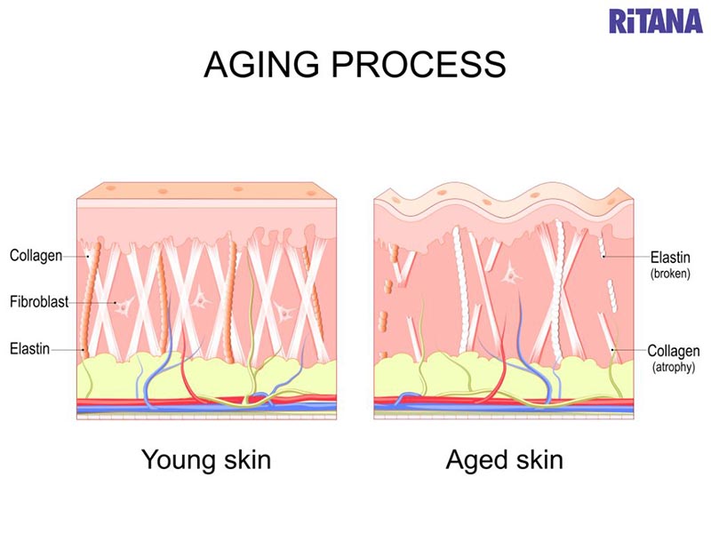 Bổ sung collagen bằng thực phẩm có tốt không?