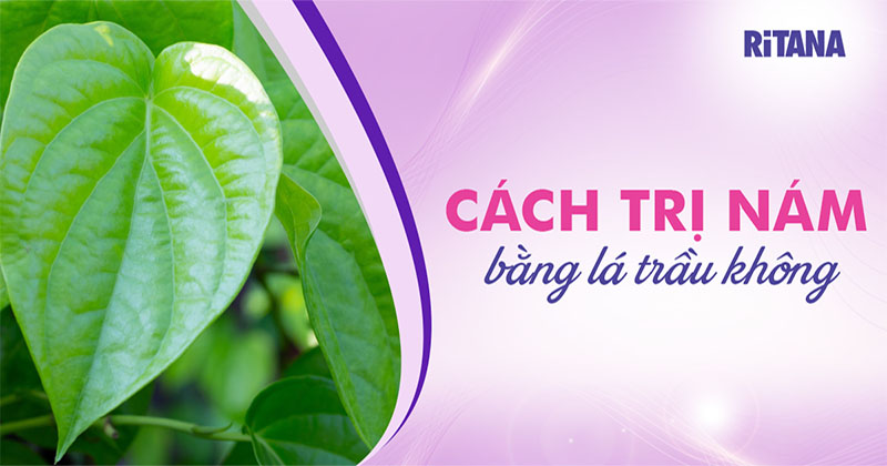 Cách trị nám bằng lá trầu không có hiệu quả?