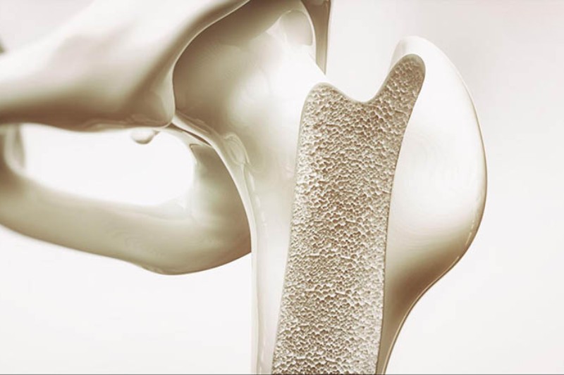 collagen ngừa loãng xương