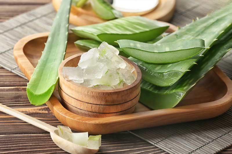 nha đam dưỡng da mùa hanh khô