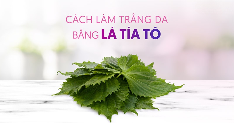 10 cách làm trắng da từ tía tô, giúp bạn có làn da đẹp ngay tại nhà