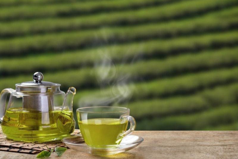 uống trà xanh chống lão hóa da