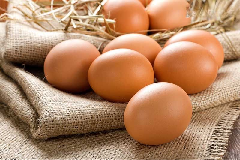 trứng gà và kem đánh răng chữa nám