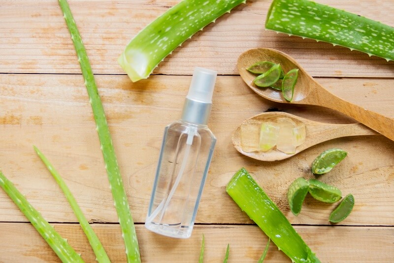 3 cách làm xịt khoáng nha đam đơn giản ngay tại nhà