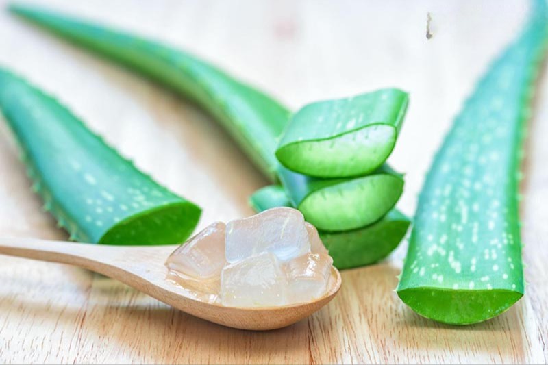 nha đam chữa nám da sau sinh