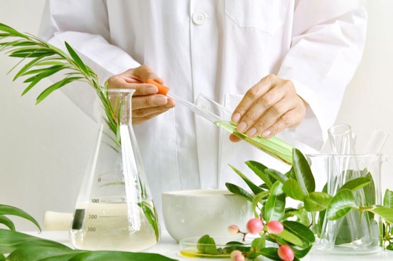 thành phần có trong viên uống trị nám