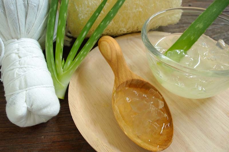 Mặt nạ nha đam chứa nhiều collagen giúp chống lão hóa