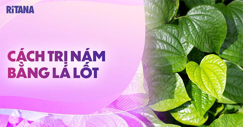 5 cách trị nám bằng lá lốt xóa tàn nhang ngay tại nhà