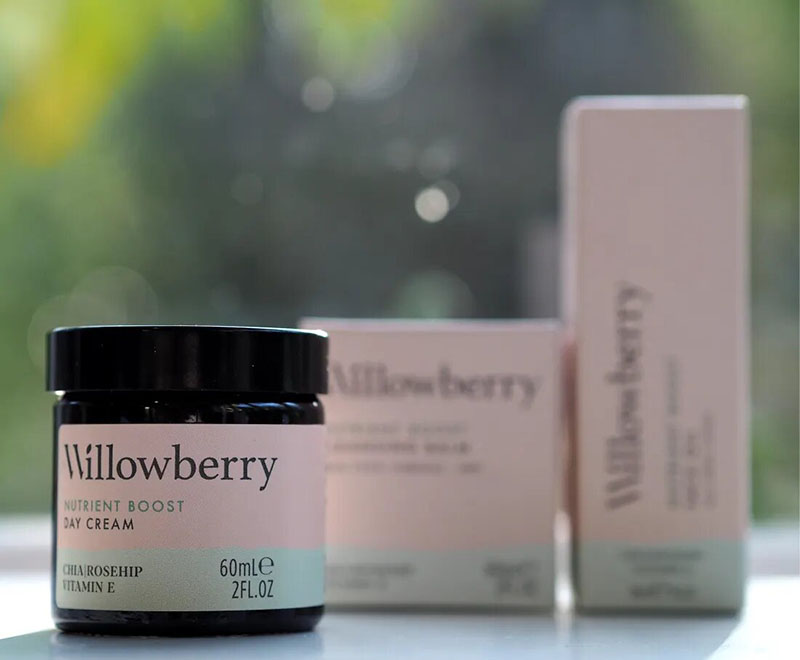 Kem dưỡng chống lão hóa Willowberry Nutrient Boost Day Cream 