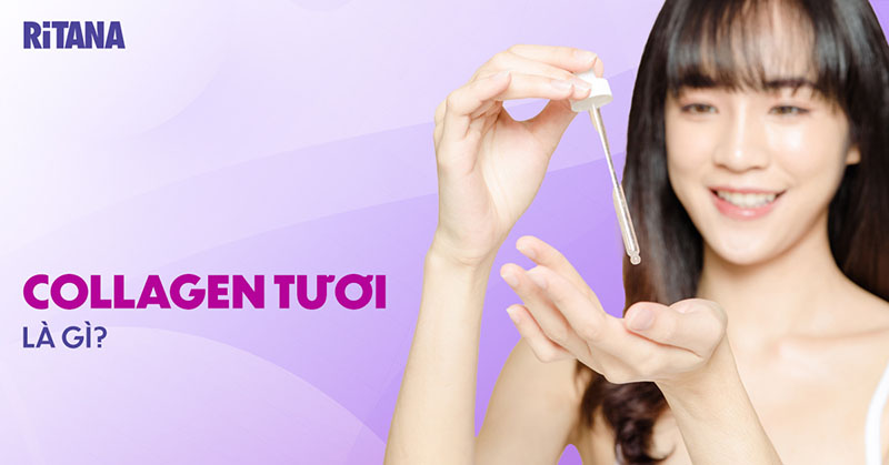 Collagen tươi là gì? Tác dụng và cách dùng như thế nào?