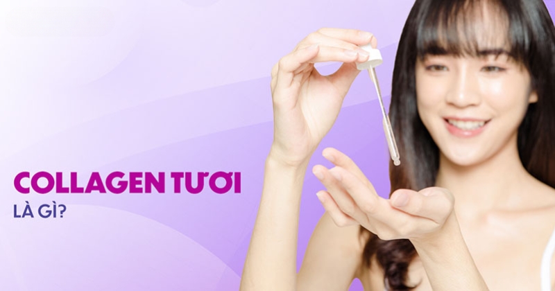 Collagen tươi là gì? Tác dụng và cách dùng như thế nào?