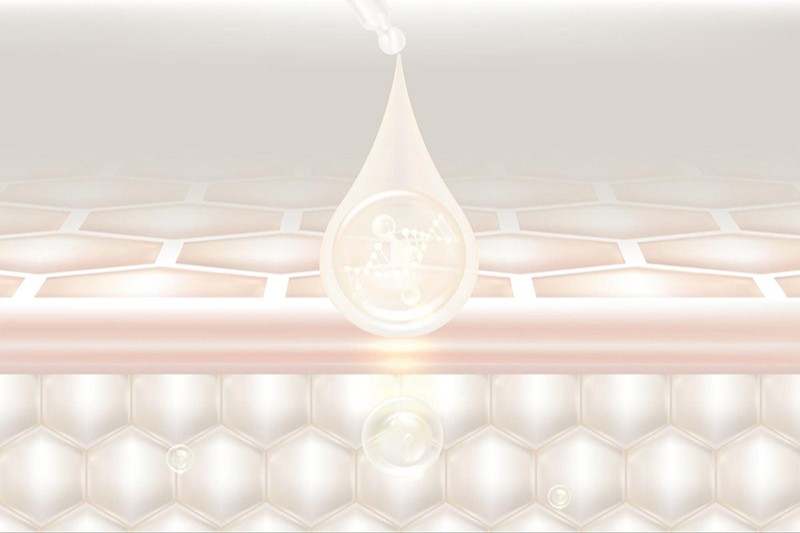 đặc điểm của collagen tươi