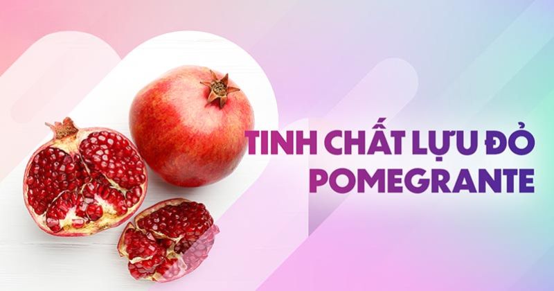 Tinh chất lựu đỏ (Pomegranate) và nhiều tác dụng bất ngờ với làn da