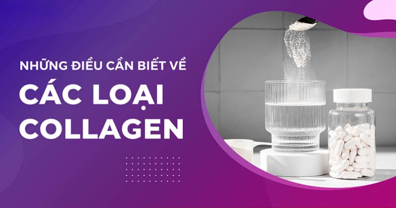 Các loại collagen cơ bản và những điều cần biết về thành phần này