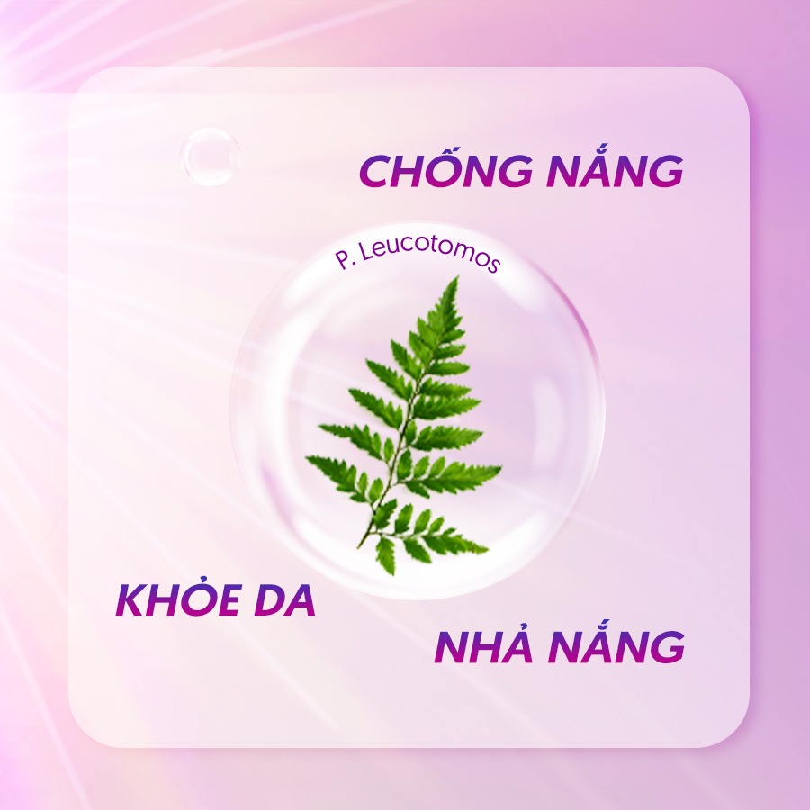 p leucotomos chống nắng trắng da